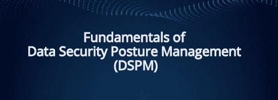 Fundamentals of DSPM