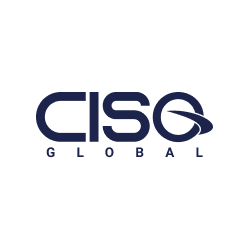  CISO, Multinational