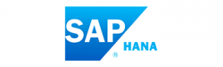 132-sap-hana