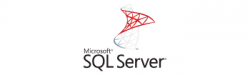 13_ms-sql