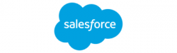 17_salesforce